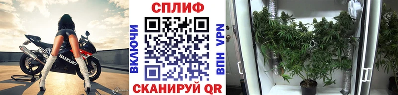 Канабис Amnesia  хочу   Новотитаровская 